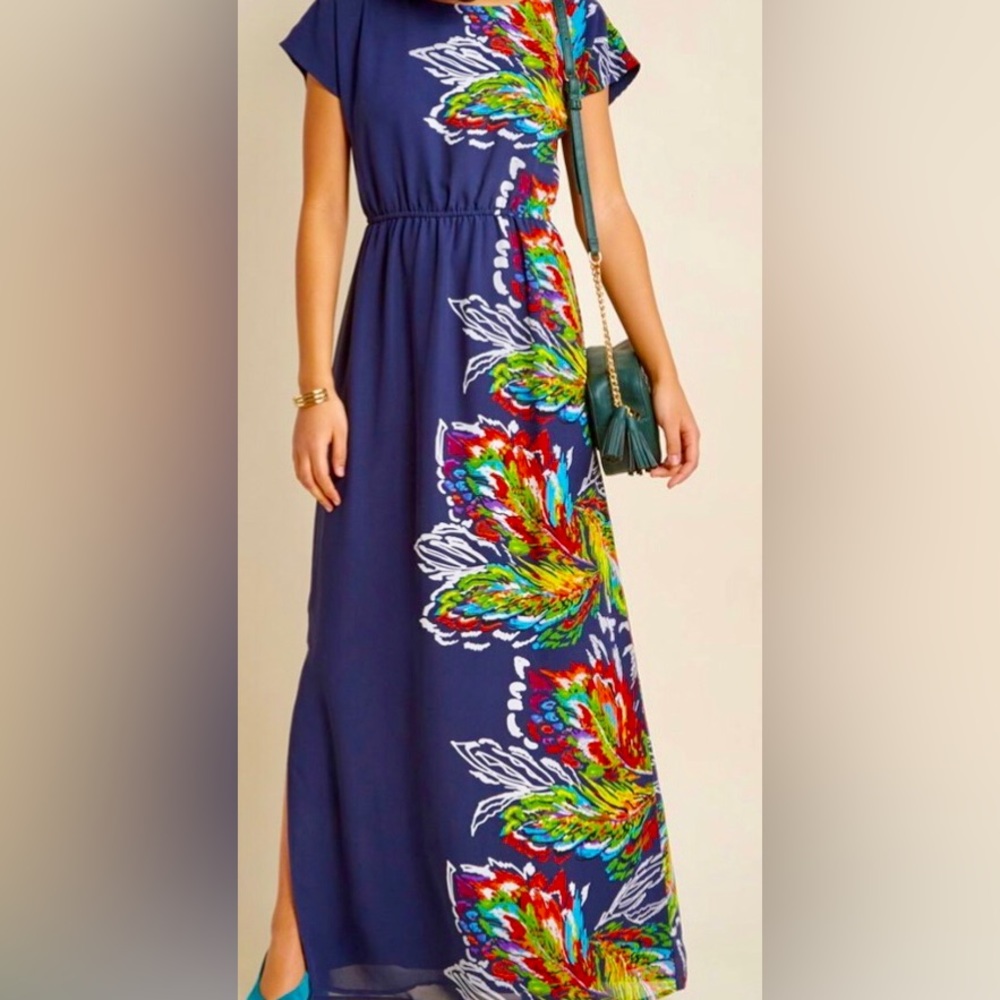 NWOT lace and mesh brand maxi dress